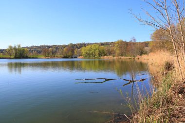 Sakin bir bahar sahnesi, çıplak ağaçlarla sakin bir göl ve suda güzel bir şekilde yansıyan berrak bir gökyüzü..