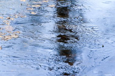 Karmaşık buz desenleri, doğanın güzelliğini ve kış manzaralarının sükunetini gösteren çarpıcı görüntüler yaratıyor.