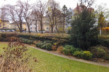 Göz kamaştırıcı bir sonbahar manzarası parkta canlı ağaçlar ve renkli yapraklar sergiliyor. Huzurlu ve huzurlu bir atmosfer yaratıyor..