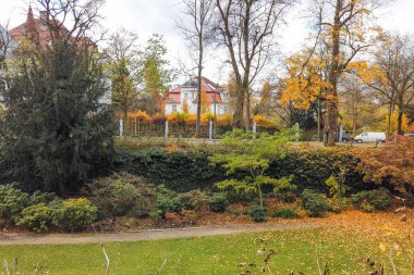 Göz kamaştırıcı bir sonbahar manzarası parkta canlı ağaçlar ve renkli yapraklar sergiliyor. Huzurlu ve huzurlu bir atmosfer yaratıyor..