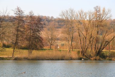 Sonbahar ağaçları göl boyunca altın ve kırmızı renkler sergilerler, sakin yansıtıcı suda güzel yansıtılır..