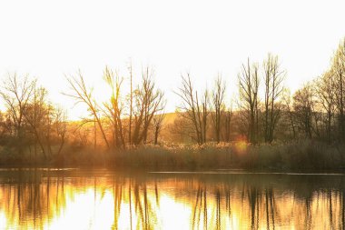 Sonbahar ağaçları göl boyunca altın ve kırmızı renkler sergilerler, sakin yansıtıcı suda güzel yansıtılır..