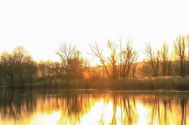 Sonbahar ağaçları göl boyunca altın ve kırmızı renkler sergilerler, sakin yansıtıcı suda güzel yansıtılır..