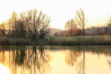 Sonbahar ağaçları göl boyunca altın ve kırmızı renkler sergilerler, sakin yansıtıcı suda güzel yansıtılır..