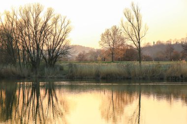 Sonbahar ağaçları göl boyunca altın ve kırmızı renkler sergilerler, sakin yansıtıcı suda güzel yansıtılır..