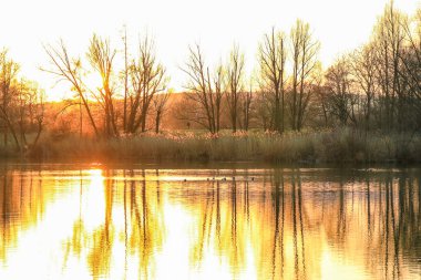 Sonbahar ağaçları göl boyunca altın ve kırmızı renkler sergilerler, sakin yansıtıcı suda güzel yansıtılır..