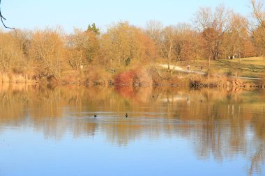 Sonbahar ağaçları göl boyunca altın ve kırmızı renkler sergilerler, sakin yansıtıcı suda güzel yansıtılır..