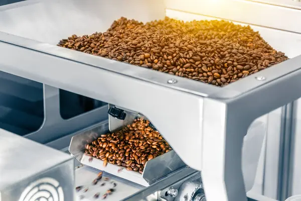 Fabrikadaki santrifüjde taze toplanmış kahve çekirdeklerini ayıklama, kurutma ve soyma işlemi.