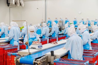 İşçiler ızgara segmentasyonunun üretim hattındaki modern bir ızgara işleme fabrikasında meşguller. Buzdolabında et mezbahası çalışanlarını doğramak. Yiyecek fabrikasında otomatikleştirilmiş üretim hattı. 