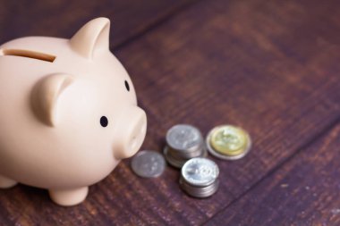 Domuz kumbarası ahşap masada. Para ve Yatırım Toplama İçindekiler