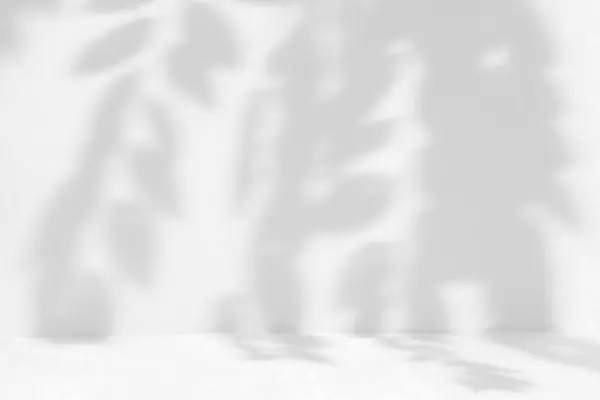 Тень Листьев Белой Ткани — стоковое фото