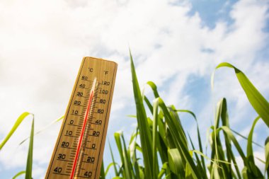 Arka plan termometresi mavi bir gökyüzü. küresel ısınma içeriği