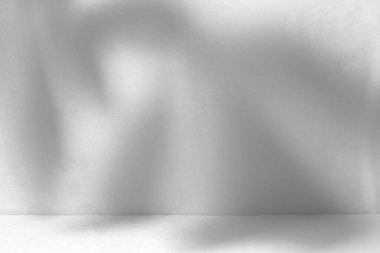 Ürün sunumu için soyut beyaz stüdyo arka planı. Duvarda yaprakların gölgeleri ve bulanık bir arkaplanı vardı.