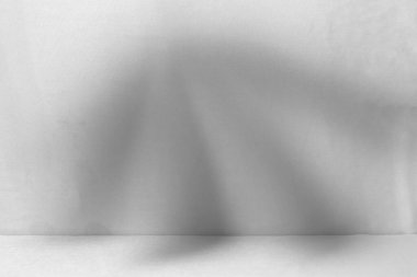 Ürün sunumu için soyut beyaz stüdyo arka planı. Duvarda yaprakların gölgeleri ve bulanık bir arkaplanı vardı.