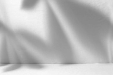 Ürün sunumu için soyut beyaz stüdyo arka planı. Duvarda yaprakların gölgeleri ve bulanık bir arkaplanı vardı.