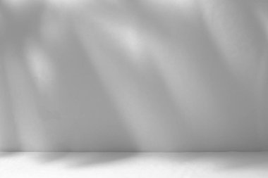 Ürün sunumu için soyut beyaz stüdyo arka planı. Duvarda yaprakların gölgeleri ve bulanık bir arkaplanı vardı.