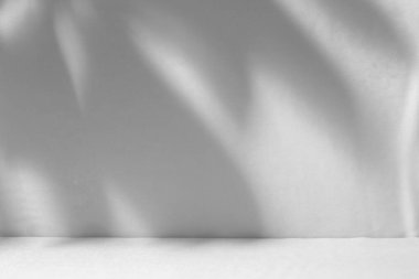 Ürün sunumu için soyut beyaz stüdyo arka planı. Duvarda yaprakların gölgeleri ve bulanık bir arkaplanı vardı.