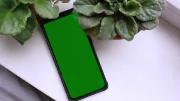 Мобільний Чорний Телефон Зеленим Екраном Лежить Біля Квітів Клавіша Chrome — стокове відео