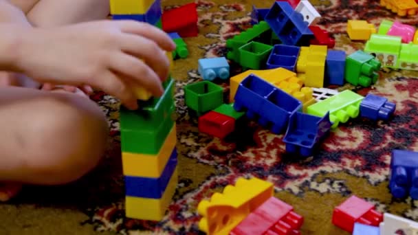 Copilul Joacă Cuburi Multicolore Copii Weekend Acasă Dezvoltarea Copilului Încurcătură — Videoclip de stoc