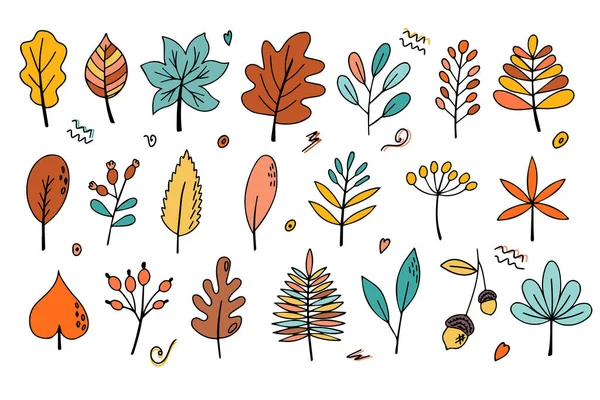 一套具有装饰元素的秋天明亮的叶子 涂鸦的风格 设计或贴纸 孤立的矢量说明 — 图库矢量图片