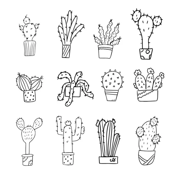 Kontur Uppsättning Kaktusar Krukor Målarbok Svart Och Vitt För Utformning — Stock vektor