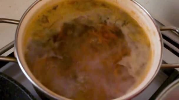 Borscht Boils Saucepan Traditional Dish Cooking Food Close — Stock Video