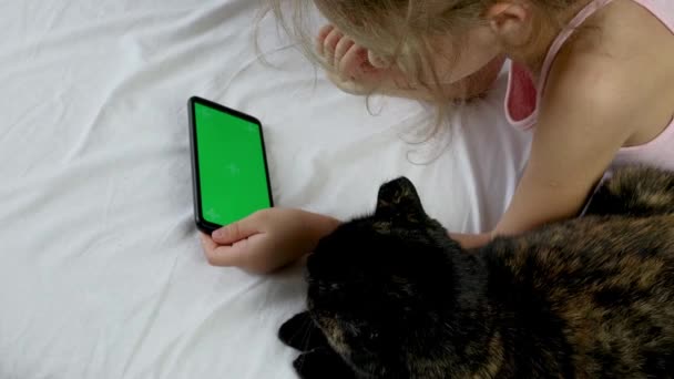 Niño Mira Una Pantalla Verde Teléfono Gato Negro Sienta Cerca — Vídeo de stock