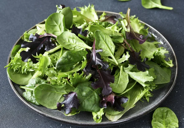 Stock image Lettuce leaves in a plate on a dark background.