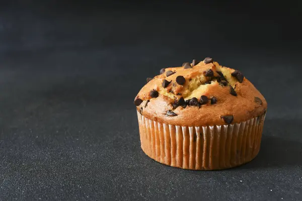 Muffins with chocolate chips on a dark background