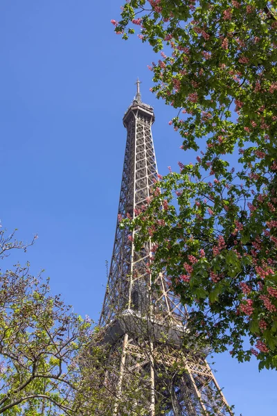 Mavi gökyüzüne karşı Eyfel Kulesi manzarası. Paris, Fransa ve Avrupa manzaraları.