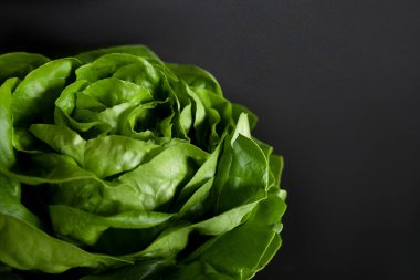 Fotokopi alanı olan koyu arkaplan üzerine taze yeşil salata yakın çekim