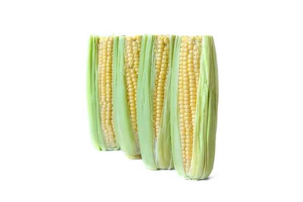 Крупный План Четырех Колосьев Кукурузы Стоящих Ряд Белом Фоне — стоковое фото