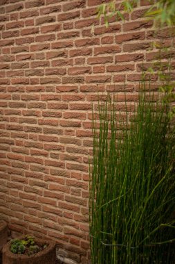 Süslü yeşil bitkiler ve kil çiçek saksıları kahverengi tuğla bir duvara karşı.. 