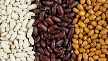 Sıraya dizilmiş çeşitli fasulye türlerini yakından çek, üst manzara. Sağlıklı beslenme ve sağlıklı yaşam kavramı. İyilik.