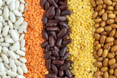 Sıraya dizilmiş çeşitli fasulye ve lenslerin yakın çekim görüntüleri, üst manzara. Sağlıklı beslenme ve sağlıklı yaşam kavramı. İyilik