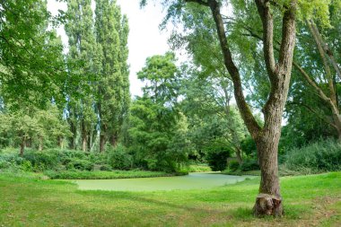 Yeşil ağaçlı manzara ve ördek yosunuyla kaplanmış gibi görünen bir su kütlesi ona parlak yeşil bir renk veriyor.. 