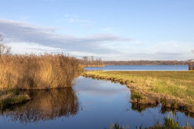 Sonbahar manzarası. Açık bir günde mavi gökyüzüne karşı yabani sarı bitki örtüsüyle bükülen kanallar.