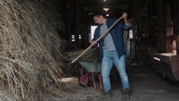 Снимок Человека Очищающего Загон Сена Вилами Домашняя Ферма Сельское Хозяйство — стоковое видео