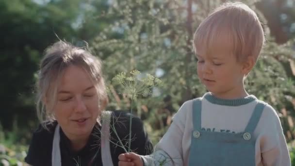 Mor Och Son Spenderar Tid Trädgården Solig Dag Hållbar Livsstil — Stockvideo