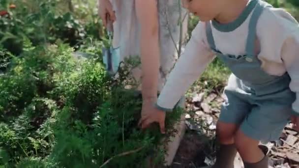 Madre Niño Pasando Rato Jardín Día Soleado Estilo Vida Sostenible — Vídeo de stock