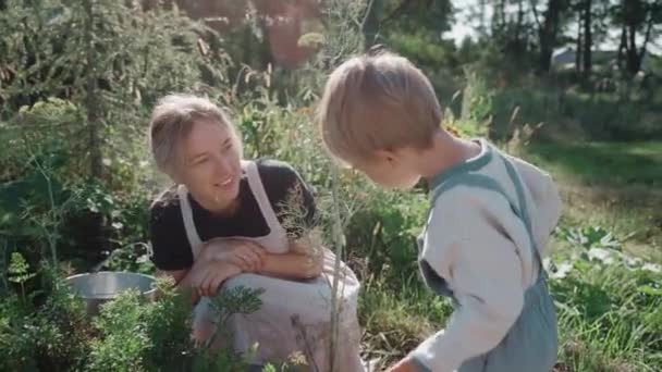 母と子供は晴れた日に自宅の庭でぶらついています 持続可能なライフスタイル 緑のことを子供に教える女 野菜を集める 納屋の家だ 高品質4K映像 — ストック動画