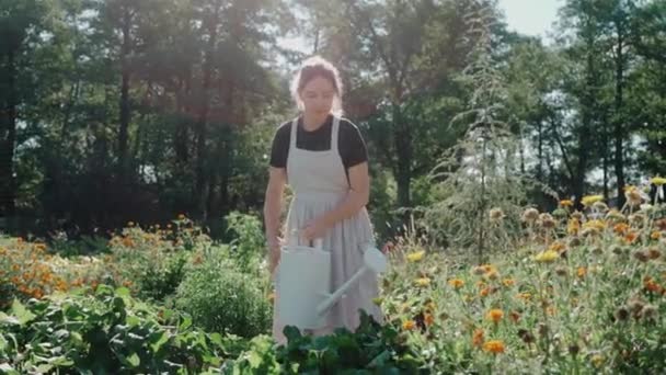 Küçük Bir Çocuk Güneşli Bir Günde Annesinin Bahçesine Sebze Sulamaya — Stok video
