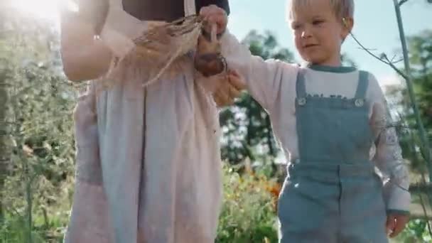Petit Garçon Ramassant Des Légumes Avec Mère Dans Leur Jardin Clip Vidéo