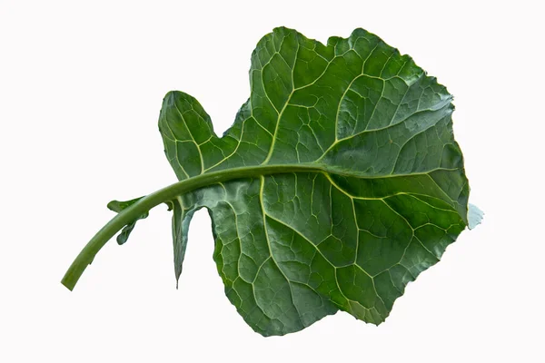 Sayuran Daun Brokoli Diisolasi Pada Latar Belakang Putih Brokoli Daun — Stok Foto