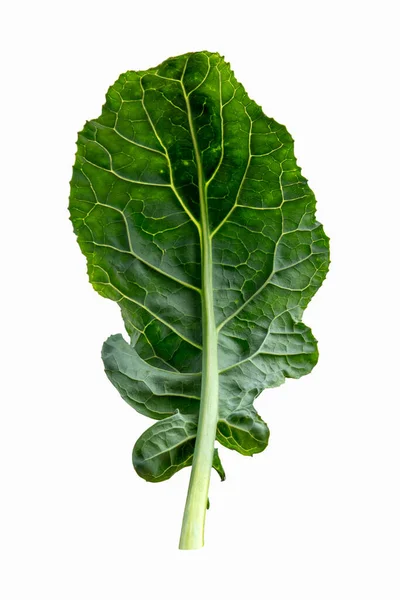 Brokkoli Blatt Gemüse Isoliert Auf Weißem Hintergrund Grüner Blattbrokkoli — Stockfoto