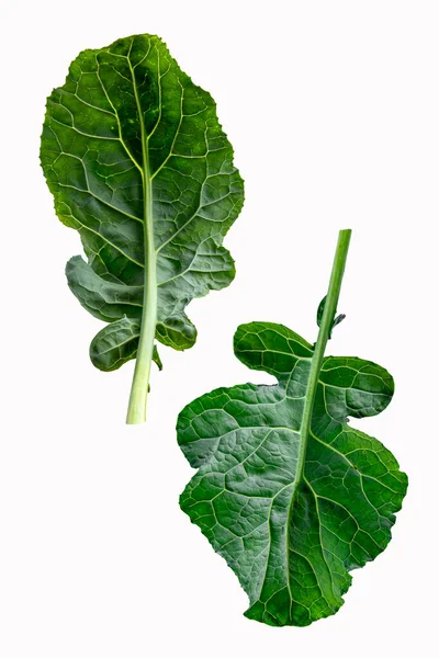 Ortaggi Foglia Broccoli Isolati Fondo Bianco Broccoli Foglia Verde — Foto Stock