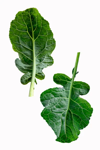 Broccoli Bladgroente Geïsoleerd Een Witte Achtergrond Bladgroene Broccoli — Stockfoto