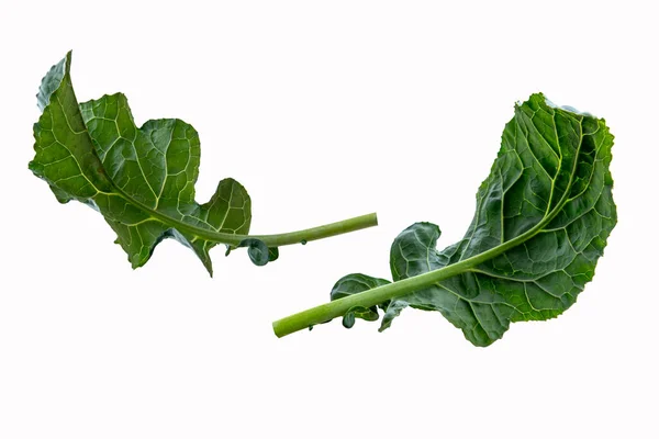 ブロッコリーの葉野菜は白い背景に隔離されています 緑の葉ブロッコリー — ストック写真