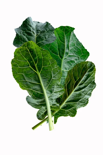 Broccoli Blad Grönsaker Isolerad Vit Bakgrund Grön Bladbroccoli — Stockfoto
