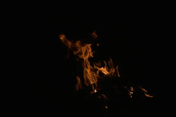 Fire Burns Night Black Background — Stock Photo, Image